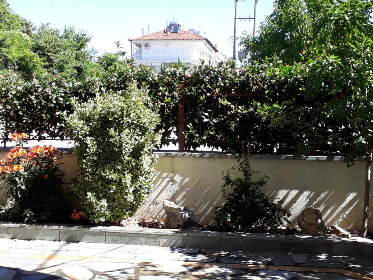 Apartament Olympus Vacation Paradise Litochoro Zewnętrze zdjęcie
